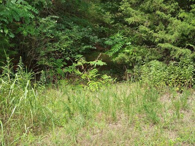 IMG_20200815_162343063_HDR