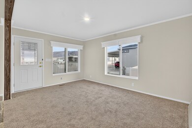 Empty room featuring ornamental molding and carpet flooring