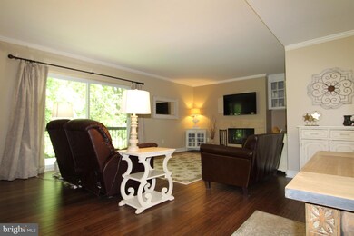 11914 Blue February Way, Columbia, MD 21044 - photo 6