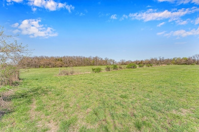 000 Lawrence 2210, Aurora, MO 65605 - photo 4