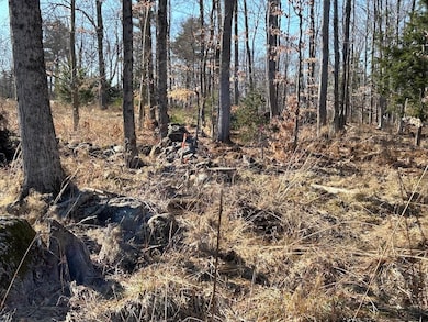 Lot 46-2 Dooe Rd unit 46-2, Dublin, NH 03444 - photo 5