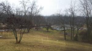 View from Screened Porch