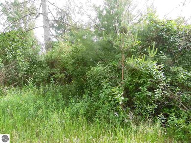 0 S M-65 unit 1818288, Turner, MI 48765 - photo 4