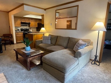 150 Ridgeview St unit 225, Brian Head, UT 84719 - photo 3