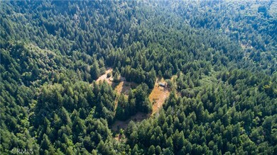 34621 Alderpoint Rd, Blocksburg, CA 95514 - photo 3