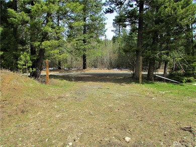 10370 Washington 903, Ronald, WA 98940 - photo 4