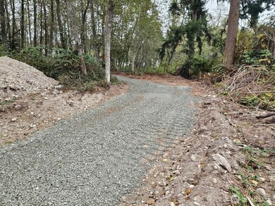 1231 Red Fox Ln, Freeland, WA 98249 - photo 5