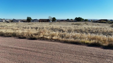 356 S Tanager Ct, Pueblo West, CO 81007 - photo 2
