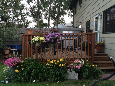 Back deck<|><|>