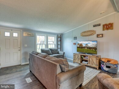 3438 Front Royal Pike, Winchester, VA 22602 - photo 4