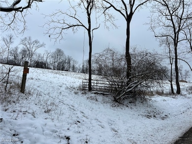 0 Rice Rd SW, New Phila, OH 44663 - photo 2