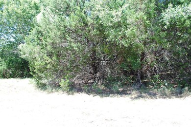 8117 High Mesa Dr, Whitney, TX 76692 - photo 3