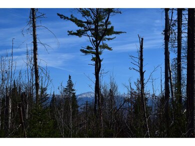 0 Bailey Rd, Jefferson, NH 03583 - photo 7