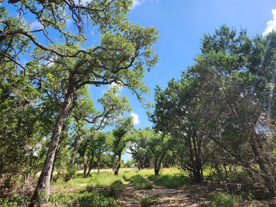 View of nature