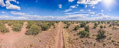 DJI_0358