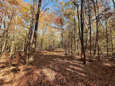 1414 Collins Mill Rd, Newport Center, VT 05857 - photo 2