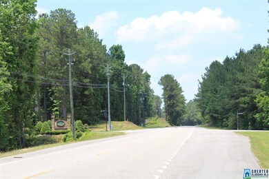 217 Lime Creek Ln unit 36, Chelsea, AL 35043 - photo 4