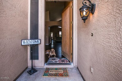 Entry_dog