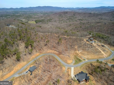 Lot 67 High Summit Dr, Talking Rock, GA 30175 - photo 4