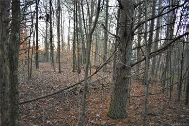 109 Cottontail Ln unit 6, Statesville, NC 28677 - photo 4