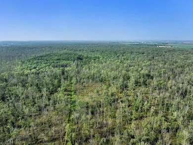 0 County Rd S unit 50311919, Algoma, WI - photo 4