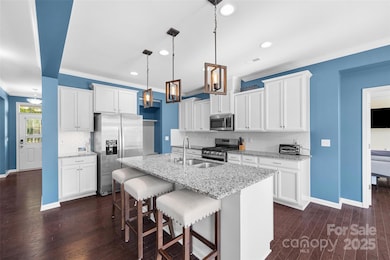 15234 Red Canoe Way, Charlotte, NC 28278 - photo 2