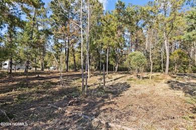 005 middle of lot