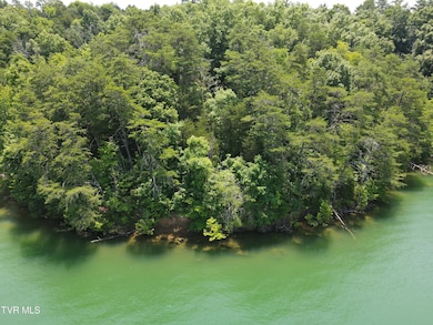 TBD Needles Way, Sevierville, TN 37876 - photo 6