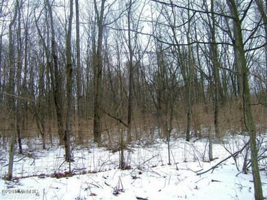 V/L Weaver Rd, Niles, MI 49120 - photo 5