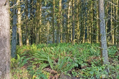 1895 N Fork Rd, Chehalis, WA 98532 - photo 5