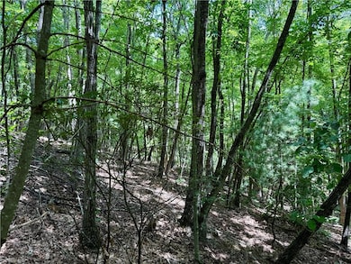 TBD Widow Mountain Dr, McGrady, NC 28635 - photo 5