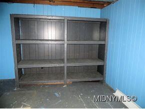 Basement Room with Storage