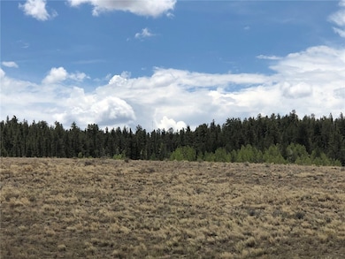 1332 Frees Loop, Hartsel, CO 80449 - photo 6