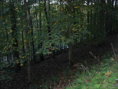 1175 Taos Ln, Sugar Grove, OH 43155 - photo 2