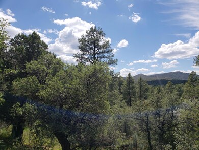 Big Sky Views