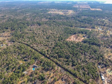 00 Baneberry Rd, Magnolia, TX 77355 - photo 5