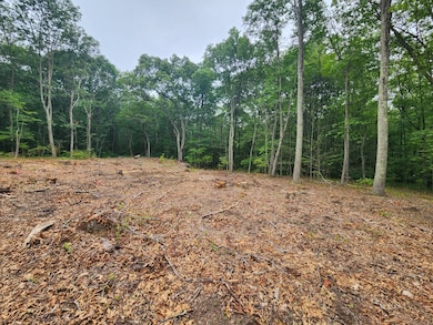 262 Connecticut 81, Killingworth, CT 06419 - photo 4