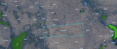 0 Walkerville Rd, Brandon, NY 12966 - photo 6