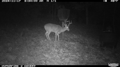 14912 Illinois 96, Nebo, IL 62355 - photo 4