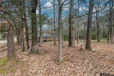 10387 Creek Bend Dr, Tyler, TX 75707 - photo 2