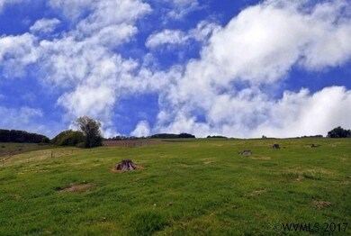 4905 Livermore Rd, Dallas, OR 97338 - photo 5