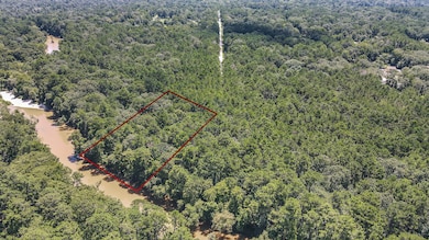 0 Blue Lake Dr unit 42488452, Cypress Point, TX 77336 - photo 4