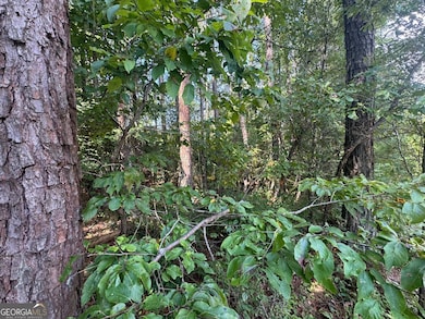 LT 5 Morton Bend Rd, Rome, GA 30161 - photo 6