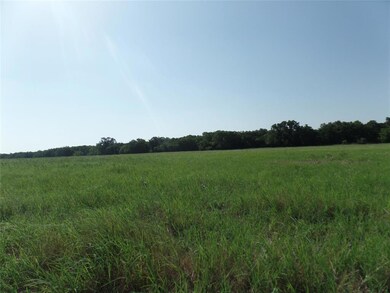 12203 Farm Road 3025, Stephenville, TX 76401 - photo 5