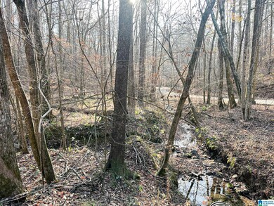 5325 Union T Rd, Talladega, AL 35160 - photo 6