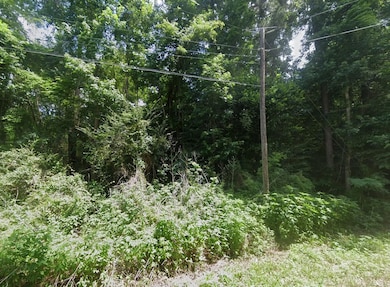 Martin Luther King Dr, Cleveland, TX 77327 - photo 7