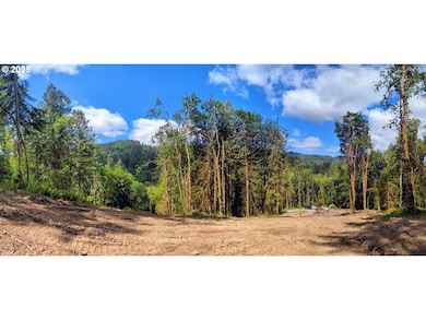 0 NW Cornelius Pass Rd unit 472730222, Portland, OR 97231 - photo 4