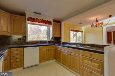 6722 Haycock Rd, Falls Church, VA 22043 - photo 6