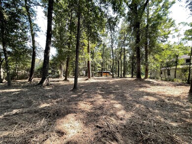 0 Walker Dr, Conroe, TX 77303 - photo 5