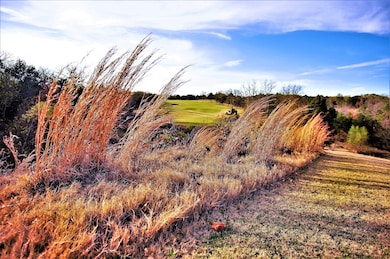 125 Wing Haven Ct, Gordonville, TX 76245 - photo 3